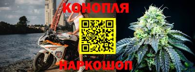 прущие крисы Будённовск