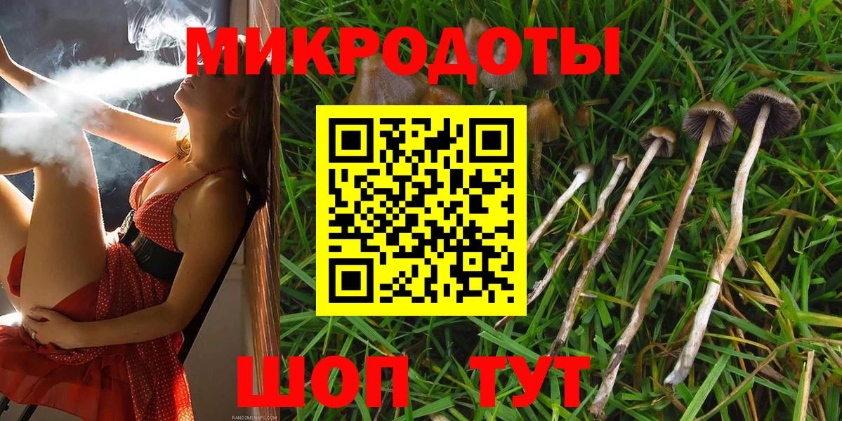 Псилоцибиновые грибы Cubensis  купить закладку  Первоуральск  Вход с VPN 
